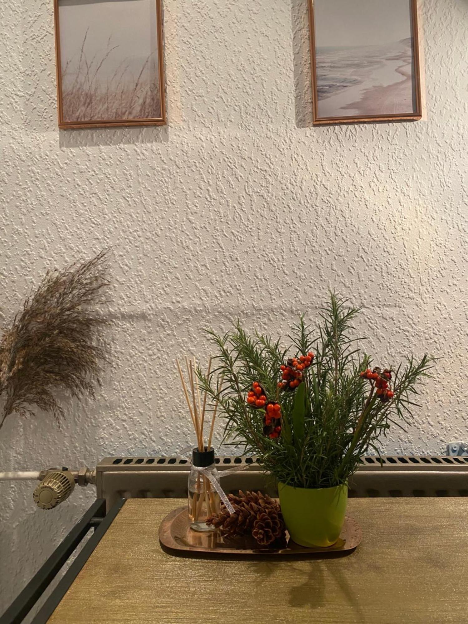 Alte Schmiede In Der Altstadt Von Sankt Goarshausen Dış mekan fotoğraf